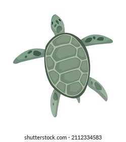 Turtle character. Green sea or ocean tortoise swimming. Wildlife animal in shell. Flat vector illustration isolated on white background