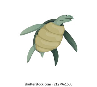 Turtle character. Green sea or ocean tortoise swimming. Wildlife animal in shell. Flat vector illustration isolated on white background