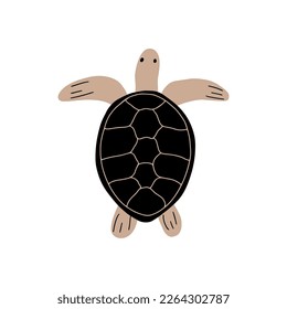 Turtle Character sea animal on deep background. Wild life illustration. Underwear world. Vector illustration.