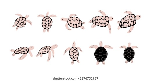 Turtle Character sea animal on deep background. Wild life illustration. Underwear world. Vector illustration.