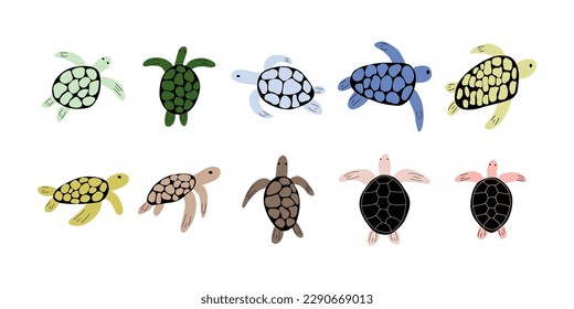 Turtle Character sea animal on deep background. Wild life illustration. Underwear world. Vector illustration.