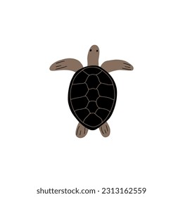 Turtle Character sea animal on deep background. Wild life illustration. Underwear world. Vector illustration.