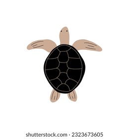 Turtle Character sea animal on deep background. Wild life illustration. Underwear world. Vector illustration.