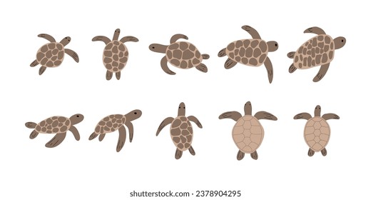 Turtle Character sea animal on deep background. Wild life illustration. Underwear world. Vector illustration.