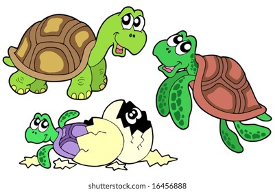 Turtle collection on white background - vector illustration.