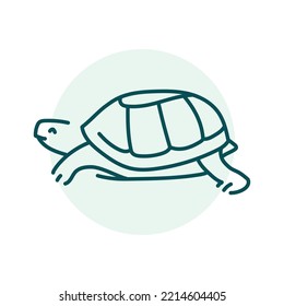 Turtle color line illustration. Animals of Africa.