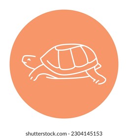 Turtle color line illustration. Animals of Africa