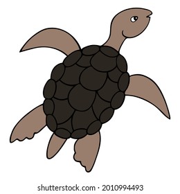Turtle. Colored vector illustration. Marine reptile with shell. Waterfowl turtle with an oval shell. Isolated white background. Cartoon style. Ocean dweller. Idea for web design, books.