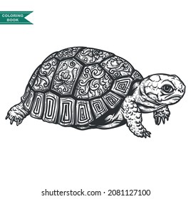 Turtle coloring book illustration, zentangle animal