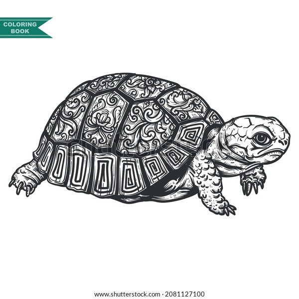 Turtle Coloring Book Illustration Zentangle Animal Stock Vector ...