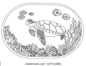 Turtle coloring page