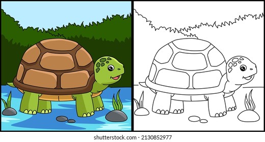 Turtle Coloring Page Colored Illustration