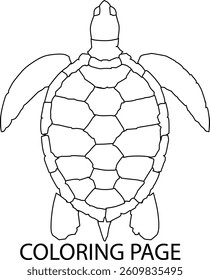 turtle coloring page, turtle vector illustration