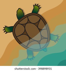 Turtle coming out of the water on the shore. Vector Image.