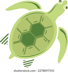 Turtle concept, omnivores vector design, Sea Food symbol, Underwater Animals aquatic Common species illustration