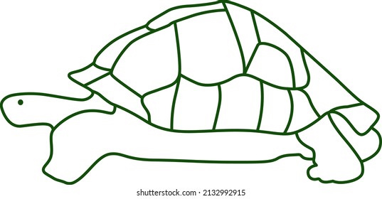 Turtle contour icon isolated on white