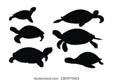 Turtle crawling in different positions, silhouette set vector. Adult turtle silhouette collection on a white background. Beautiful sea creatures like turtles and tortoises full body silhouette bundles