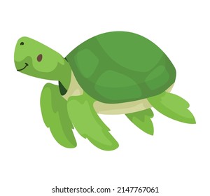 turtle cute animal kid icon