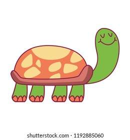 turtle cute cartoon