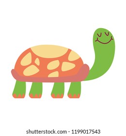 turtle cute cartoon