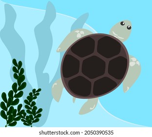 Turtle cute cartoon brown vector illustration marine animal