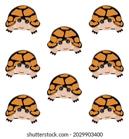 turtle cute cartoon brown white background vector illustration marine animal