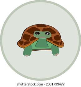 turtle cute cartoon brown white background vector illustration marine animal