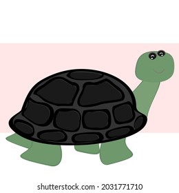 Turtle cute cartoon brown white background vector illustration marine animal
