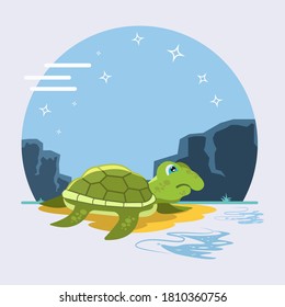 Turtle cute cartoon vector illustration