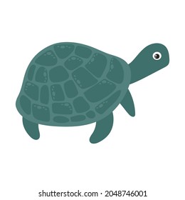 The turtle is cute, green in color with a shell and paws, a marine inhabitant. Vector illustration isolated on a white background