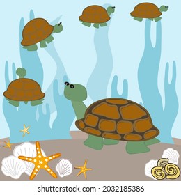 turtle cute scallop starfish cartoon brown white background vector illustration marine animal