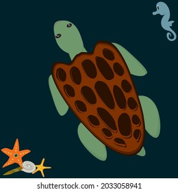 turtle cute scallop starfish cartoon brown white background vector illustration marine animal