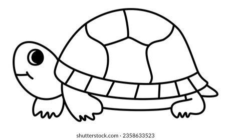 Turtle - Cute Tortoise Doodle Art for Education in Preschool and Kindergarten, Identifying One Type of the Reptile, a Symbol of Serenity, Marine Beauty, and Heartwarming Moments of Natural Wonder