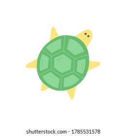 Turtle cute vector illustration. Hand drawn ocean, marine, sea green turtle animal. Isolated.