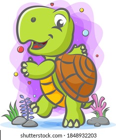 The turtle dancing under the water with the happy face 
