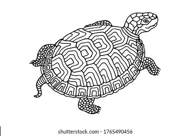 Turtle with a decorative pattern. Vector stock illustration eps 10. Hand drawing. Outline
