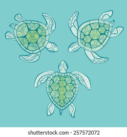 Turtle. Decorative vector illustration.