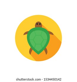 Turtle design, Animal cute sea life nature and fauna theme Vector illustration