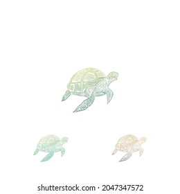 Turtle design logo vector. Turtle animal vector