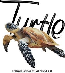 Turtle design for templates, watercolor style.