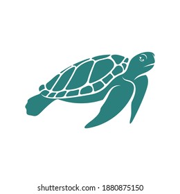 
Turtle design vector illustration, Creative Turtle logo design concepts template, icon symbol