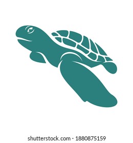 
Turtle design vector illustration, Creative Turtle logo design concepts template, icon symbol