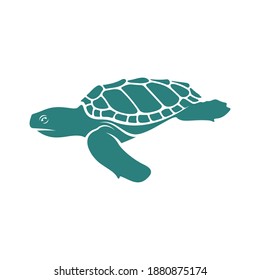 
Turtle design vector illustration, Creative Turtle logo design concepts template, icon symbol