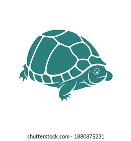 
Turtle design vector illustration, Creative Turtle logo design concepts template, icon symbol