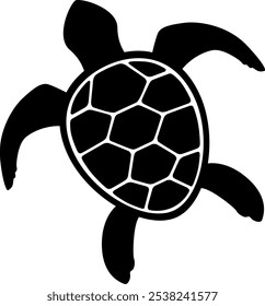 Turtle Digital EPs Vector graphics File