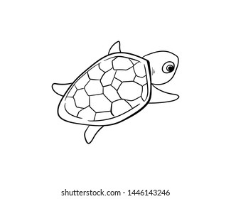 turtle doodle vector hand drawing 