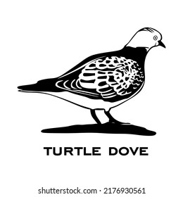 Turtle dove logo isolated on white background. Bird sign. European Turtle dove silhouette. Minimalist bird icon vector illustration