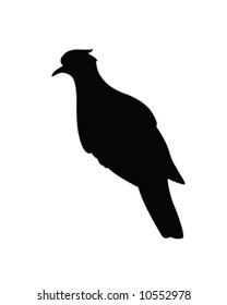 Turtle Dove Vector Illustration