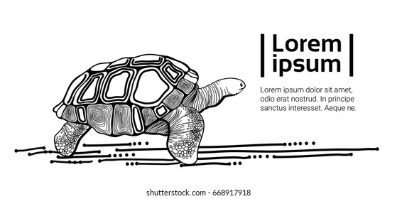 Turtle Drawing Black Animal With Copy Space Vector Illustration