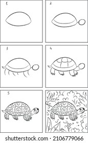 Turtle drawing instruction and coloring book